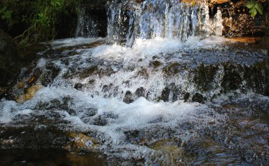 Splashes and drops of water in a small waterfall on a mountain stream in the thickets