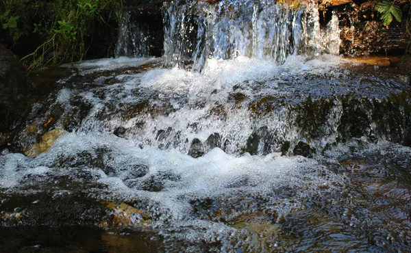 Splashes Drops Water Small Waterfall Mountain Stream Thickets — Stock Photo, Image