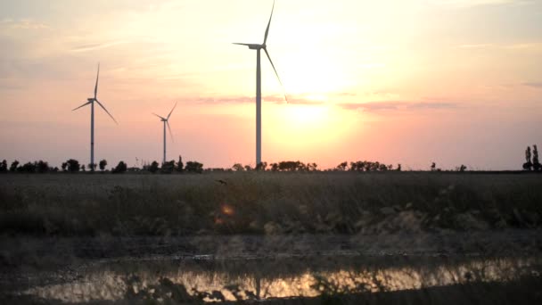 Величезна Вітрова Електростанція Обертовими Вітрогенераторами Вечірніх Відеозаписах — стокове відео