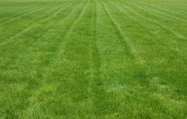 Lines Green Lawn Grass Cutting Vertical Stock Photo — 스톡 사진