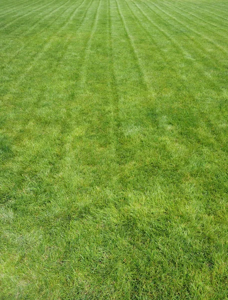 Smooth Marks Grass Mowing Lawn Vertical Story — Stock Photo, Image