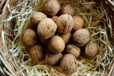 Yakından bakınca, ahşap talaşlı ceviz yığını resmin kenarına odaklanmış gibi görünüyor. 