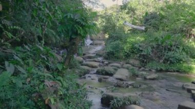 Hermosa quebrada en lugar escondido con arboles al refordor y radiante sol
