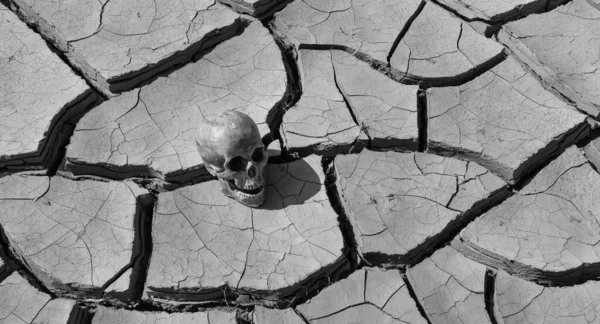 Dummy Human Skull Lies Clay Cracked Heat Desert — Stock Photo, Image