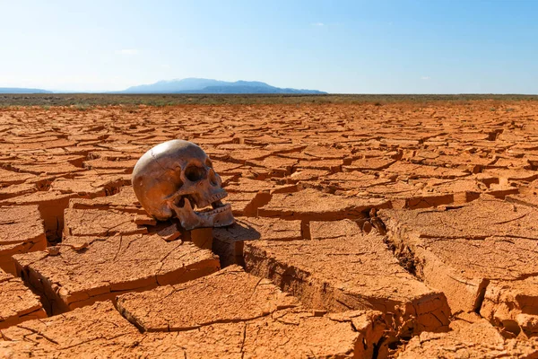 一个骷髅的假人躺在从沙漠的热浪中裂开的泥土上 — 图库照片