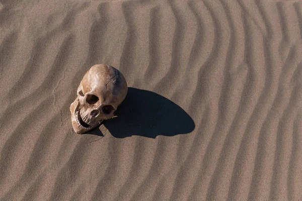 Egy Emberi Koponya Bábuja Fekszik Sivatag Homokján — Stock Fotó