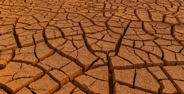 Cracked Clay Desert — Stock Photo, Image