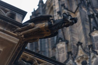 Prag 'daki St. Vitus Katedrali' nde Gargoyle.
