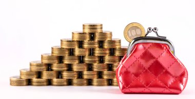 Minyatür cüzdan ve 100 Kazakistan tenge sikkesi