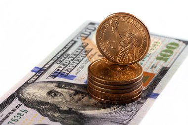 1 Amerikan doları ve 100 dolar.