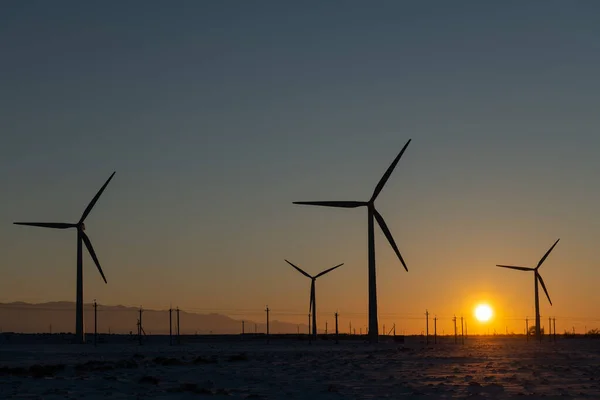 Windturbines Hoogspanningsleidingen Bij Zonsondergang — Stockfoto