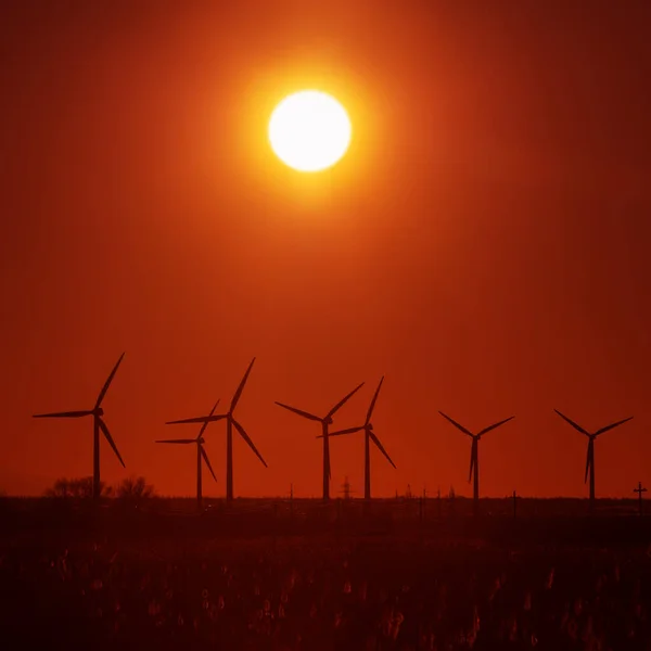 Windturbines Hoogspanningsleidingen Bij Zonsondergang — Stockfoto