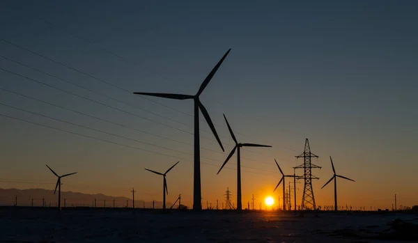 Vindturbiner Och Kraftledningar Vid Solnedgången — Stockfoto