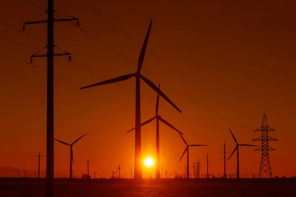 Windturbines Hoogspanningsleidingen Bij Zonsondergang — Stockfoto