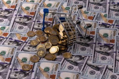 100 ve 200 Kazakistan tenge madeni para, minyatür süpermarket alışveriş arabası ve arka planda 100 Amerikan doları.