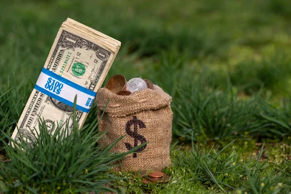 Мініатюрний Мішок Символом Долара Сша Зеленій Траві Американських Грошах — стокове фото