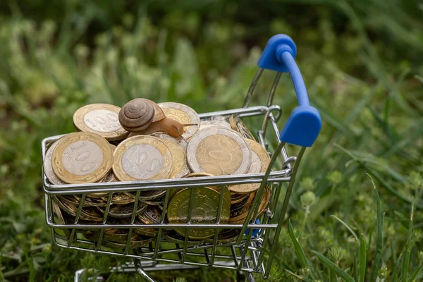 Carrinho Compras Miniatura Moedas Tenge Cazaque Diferentes Denominações — Fotografia de Stock