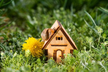 Bir salyangoz minyatür bir ahşap ev boyunca sürünür yeşil çimenlerde durur.