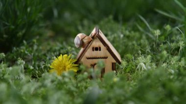 Bir salyangoz minyatür bir ahşap ev boyunca sürünür yeşil çimenlerde durur.