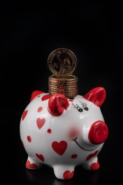 Domuz kumbarası ve 1 Amerikan doları.