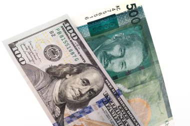 5000 kırgız ve 100 Amerikan doları değerinde bir banknotun parçaları.