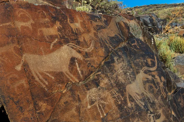 Hunting Scene Ancient Petroglyphs Tambvly Tract Southeastern Kazakhstan — ストック写真