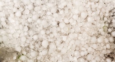 Large balls of freshly fallen hail