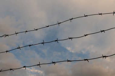Three rows of barbed wire against the sky