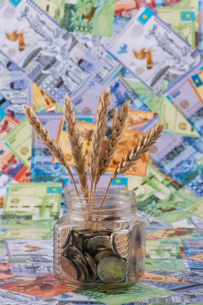 Вуха Пшениці Ростуть Банку Монет Задньому Плані Казахських Банкнот Тенге — стокове фото