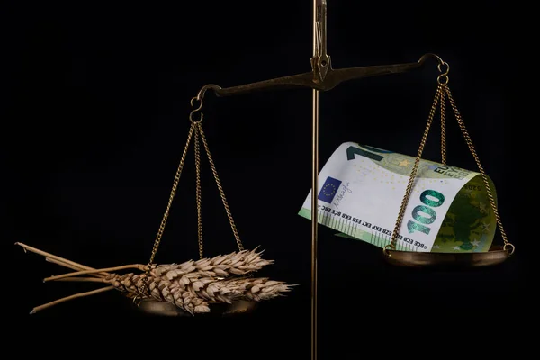 Сухі Вуха Пшениці Банкнота 100 Євро Чорному Тлі — стокове фото
