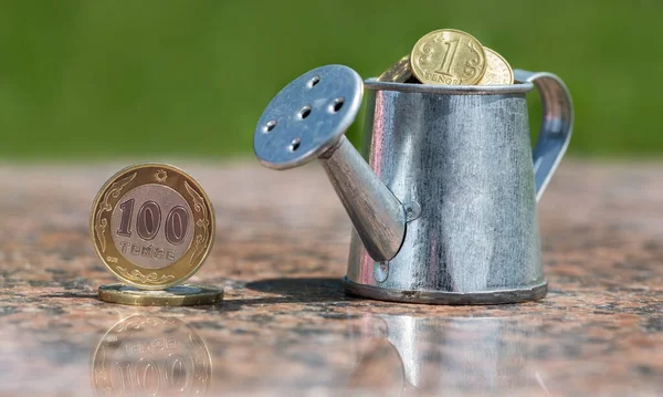 Miniature watering can and Kazakh coins (tenge)