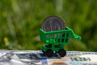 1 dollar coin in a miniature shopping cart