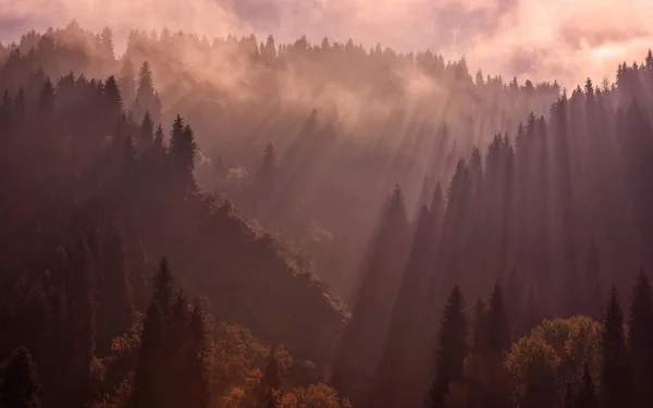 Rays Light Mixed Autumn Forest Mountains — Zdjęcie stockowe