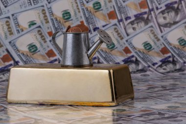 Büyük bir altın külçesi, 1 sentlik bozuk para ve 100 dolarlık banknotlarla dolu minyatür bir sulama kutusu.