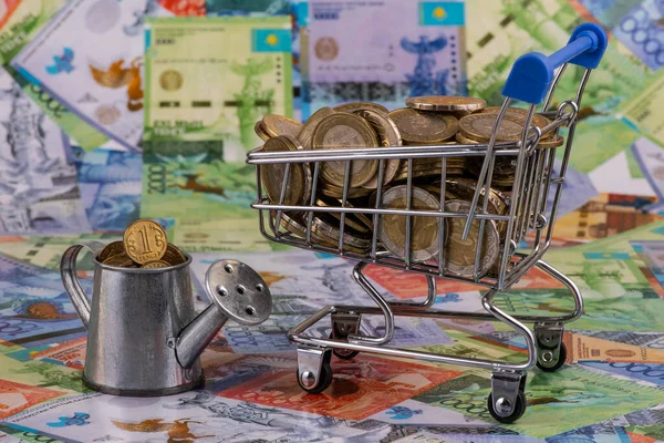 Miniatuur Winkelwagen Gieter Kazachse Munten Achtergrond Van Kazachse Bankbiljetten Tenge — Stockfoto