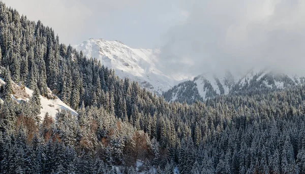 Berghänge Mit Schneebedeckten Weihnachtsbäumen — Stockfoto
