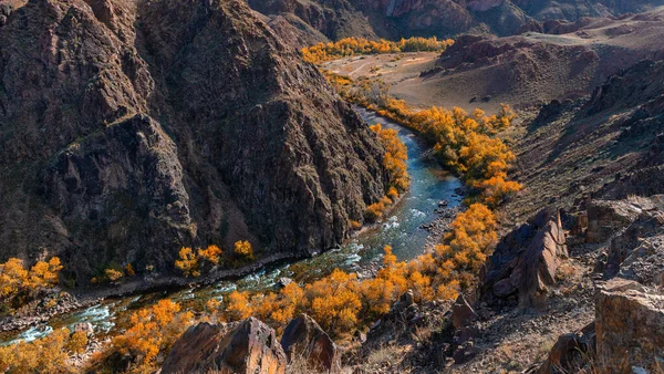 Nehir Sonbahar Ağaçlarıyla Birlikte Kanyonun Dibinde Kıvrılır — Stok fotoğraf