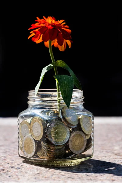 Банка Казахськими Монетами Номіналами 100 200 Тенге Червона Квітка Чорному — стокове фото