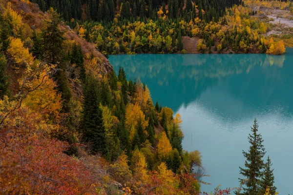 秋天的一天 一座风景如画的高山湖畔的树木 — 图库照片