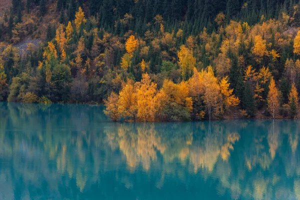 Arbres Sur Rivage Lac Montagne Pittoresque Jour Automne — Photo