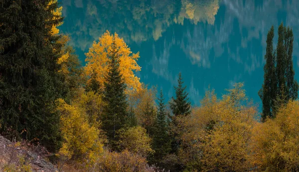 Drzewa Brzegu Malowniczego Górskiego Jeziora Jesienny Dzień — Zdjęcie stockowe