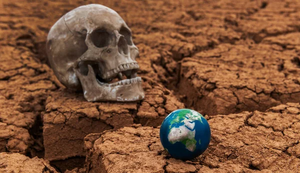 沙漠中破碎的干土背景下的微型地球和人类头骨 — 图库照片