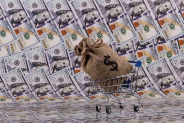 İçinde Amerikan doları sembolü ve Amerikan parası olan çanta.