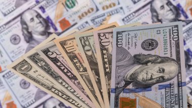 Toplanan 1, 2, 5, 10, 20, 50 ve 100 dolarlık banknotlar
