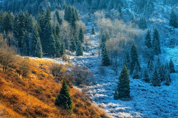 Floresta Mista Uma Encosta Montanha Dia Outono Depois Primeira Neve — Fotografia de Stock