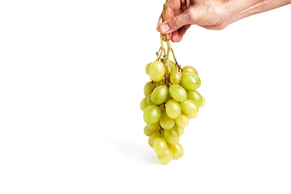 Кластер Зеленого Винограду Тримається Рукою Жінки Білому Тлі Концепція Здорової — стокове фото