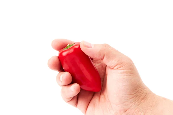 Рука Человека Держащего Красный Мини Перец Здоровое Питание — стоковое фото
