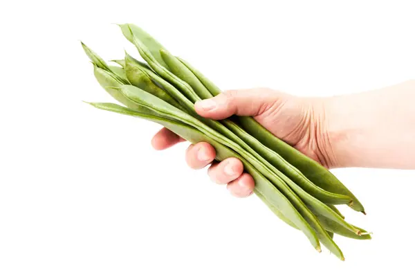 Hand Eines Mannes Mit Einem Bund Grüner Bohnen Gesunde Ernährung — Stockfoto