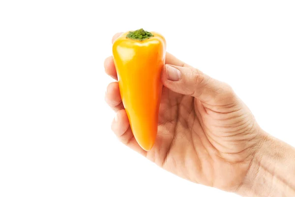 Dłoń Kobiety Trzymającej Mini Żółtą Paprykę Zdrowa Żywność — Zdjęcie stockowe