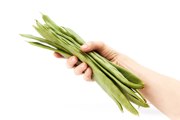 緑の豆の束を保持する女性の手 健康食品 — ストック写真